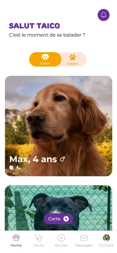 Écran d'accueil Harmony Paws — découvrir les chiens à proximité
